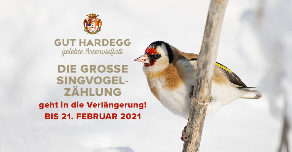 GutHardegg-Vogelzaehlung-2021-update GutHardegg-Vogelzaehlung-2021-update